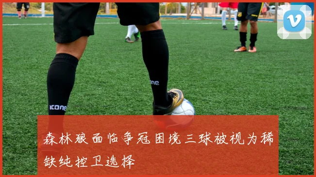 森林狼面临争冠困境三球被视为稀缺纯控卫选择