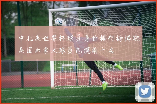 中北美世界杯球员身价排行榜揭晓美国加拿大球员包揽前十名